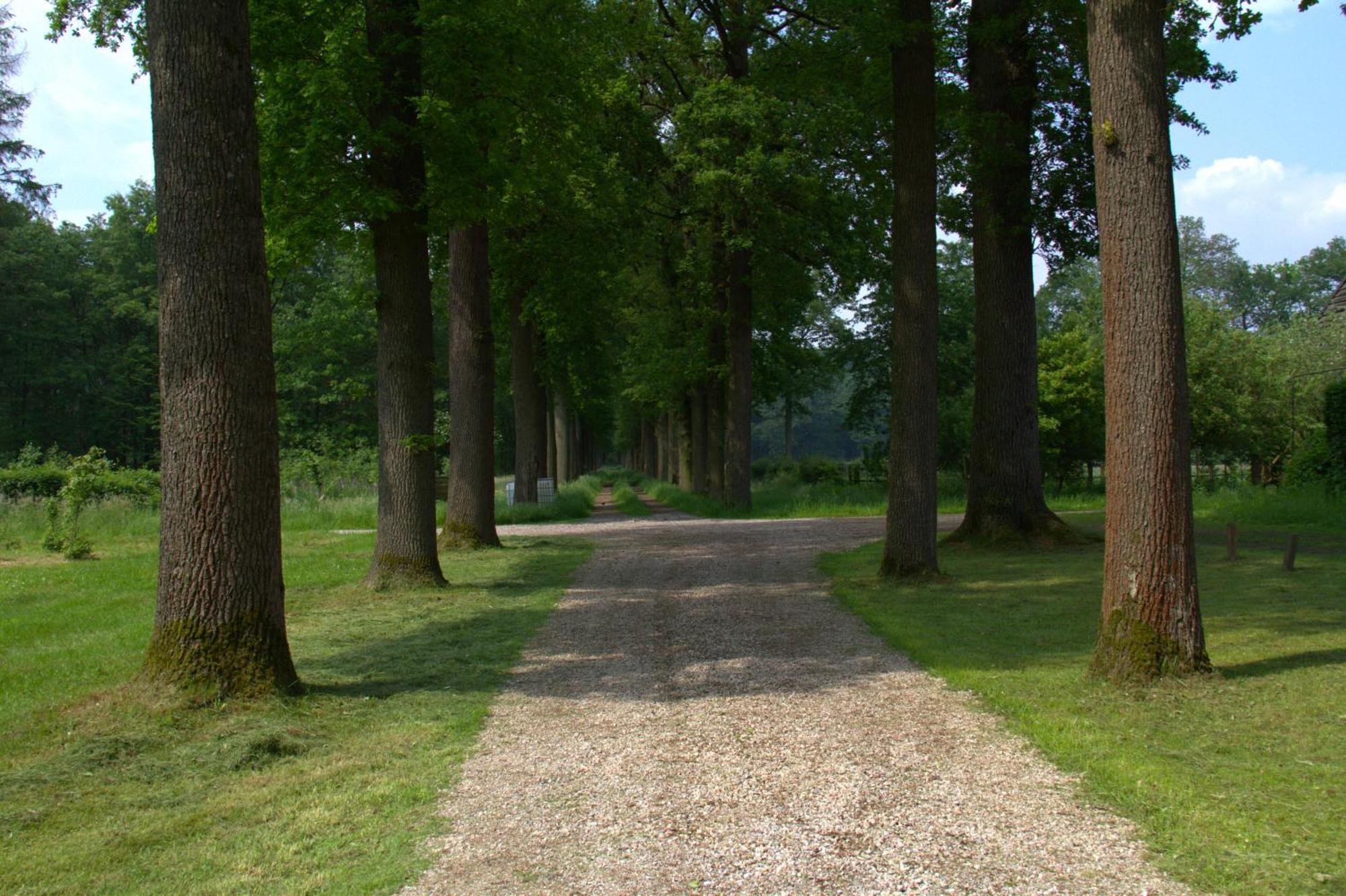B&B Kasteel Den Tip Arendonk Buitenkant foto